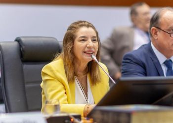 Assembleia Legislativa avança em transparência na gestão da presidente Iracema Vale