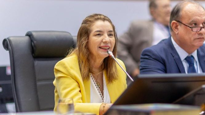 Assembleia Legislativa avança em transparência na gestão da presidente Iracema Vale