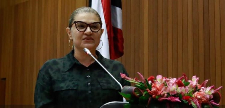 Deputada pedetista diz que pavimentação da BR-226 é sonho realizado por Brandão