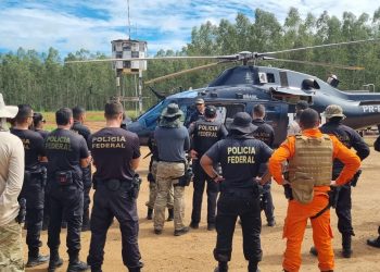Polícia Federal promove operação de erradicação do cultivo de cannabis sativa em terras indígenas