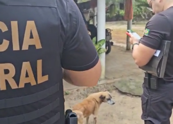 PF realiza quinta fase de operação que combate crime sexuais contrea crianças e adolescentes