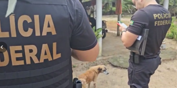 PF realiza quinta fase de operação que combate crime sexuais contrea crianças e adolescentes