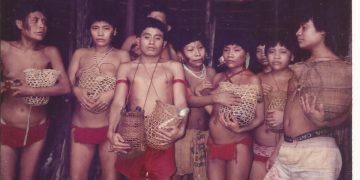 Ministra dos Povos Indígenas diz que houve tentativa de genocídio contra o povo Yanomamis