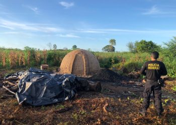 PF cumpre mandado de prisao de extratores de madeira ilegal em terra indígena