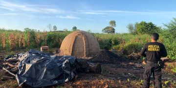 PF cumpre mandado de prisao de extratores de madeira ilegal em terra indígena