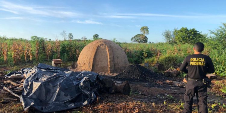 PF cumpre mandado de prisao de extratores de madeira ilegal em terra indígena