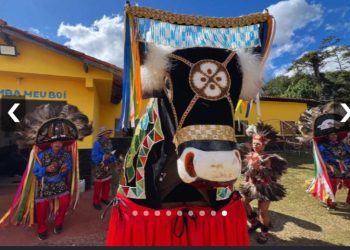 Boi de Seu Teodoro segue vivo e forte no Centro de Tradições Populares em Brasília