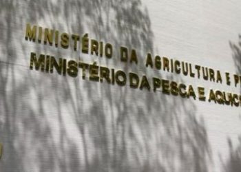 Concurso do Ministério da Pesca e Aquicultura oferece cinco vagas para o Maranhão