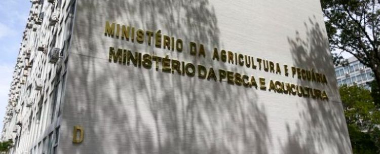 Concurso do Ministério da Pesca e Aquicultura oferece cinco vagas para o Maranhão