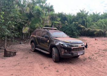 PF realiza nova etapa da operação de combate ao comércio ilegal de madeira