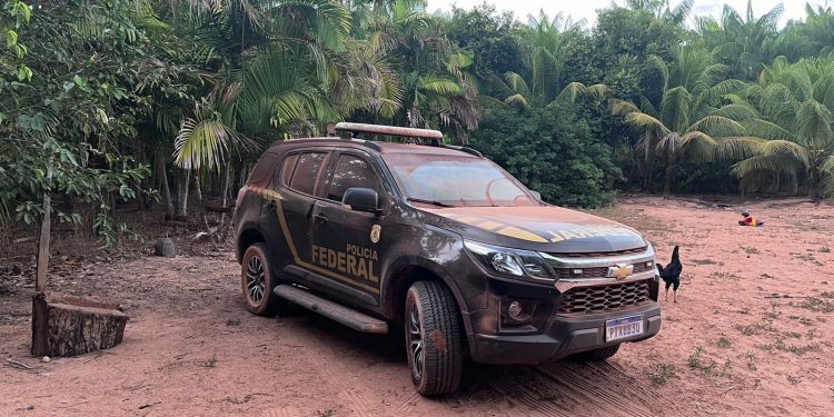 PF realiza nova etapa da operação de combate ao comércio ilegal de madeira
