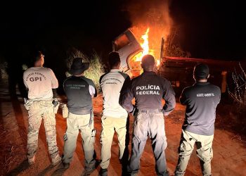 PF apreende madeiras ilegais e resgata trabalhadores em condições de escravos em dois municípios do MA