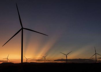 Nordeste brasileiro lidera processo de geralão de energias renováveis