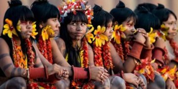 Estudo mostra crescimento de candidatos declarados indígenas nas eleições municipais de 2024