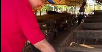 Brandão edita decreto que beneficia negócios da família no setor de lacticínios