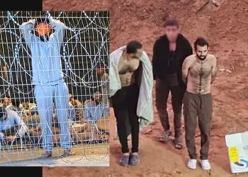 Israel mantém em centros de detenção mais de 160 profissionais de saúde de Gaza. Há médicos desaparecidos