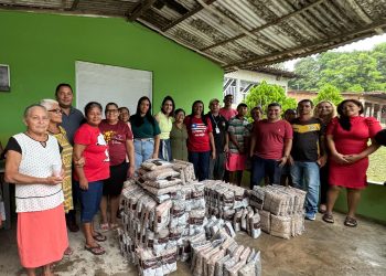 Agricultores familiares de Paço do Lumiar recebem 300 kg de mudas de açaí