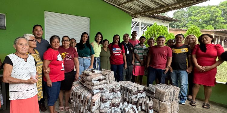 Agricultores familiares de Paço do Lumiar recebem 300 kg de mudas de açaí
