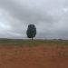 Uso de agrotóxicos cresce quase 200% em 10 anos no Maranhão e expõe moradores a riscos