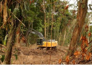 Chefia do MP do Pará desautoriza promotores e favorece ações controversas da gestão Barbalho na COP30