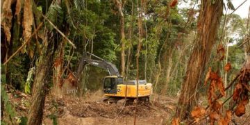 Chefia do MP do Pará desautoriza promotores e favorece ações controversas da gestão Barbalho na COP30