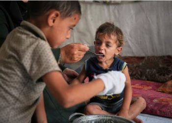 ONU alerta que 14.000 bebês podem morrer em Gaza nas próximas 48 horas sem ajuda