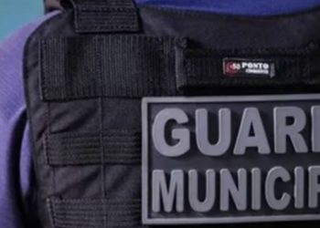 Ministro Flávio Dino – O STF e as Guardas Municipais