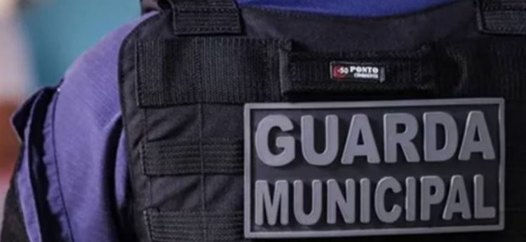 Ministro Flávio Dino – O STF e as Guardas Municipais