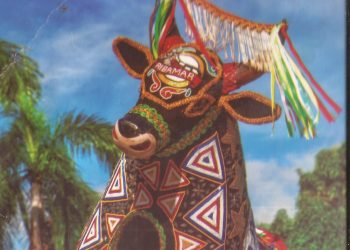 Eneva se dispõe a patrocinar instalação do museu do Bumba-meu-boi em São Luís