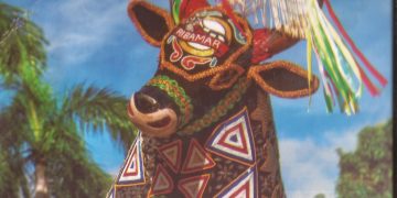 Eneva se dispõe a patrocinar instalação do museu do Bumba-meu-boi em São Luís