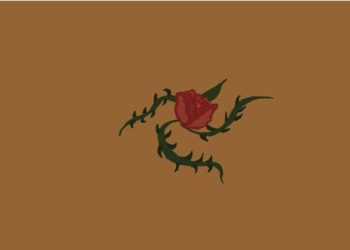 Artigo- Djamila Ribeiro: O horror está normalizado no Brasil e não vemos o poder público comovido