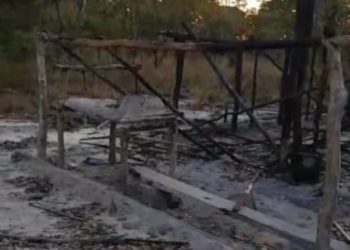 Desmatamento atinge mais de mil hectares no município de Chapadinha