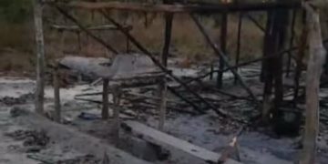 Desmatamento atinge mais de mil hectares no município de Chapadinha