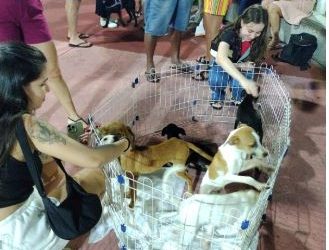 Vila Pet realiza edição especial de projeto de adoção animal em São Luís