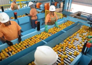 Veja a lista de produtos brasileiros excluídos do tarifaço