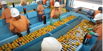 Veja a lista de produtos brasileiros excluídos do tarifaço