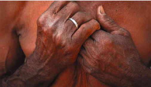 Quilombolas no Maranhão enfrentam fogo, seca e agrotóxicos sob ameaça de morte