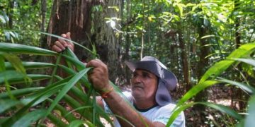 Comunidade quilombola perto de Belém exige direitos territoriais e reconhecimento