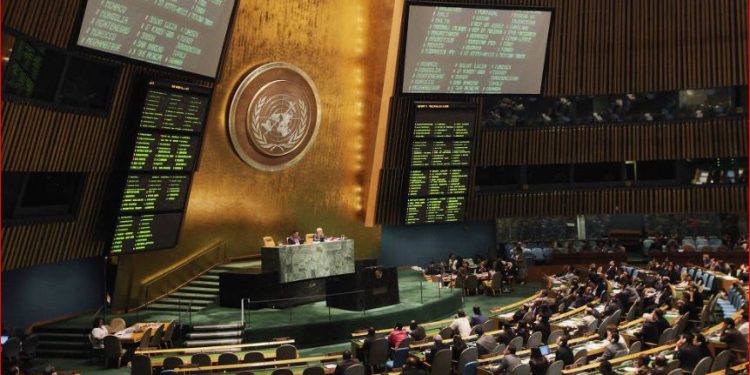 ONU Relatora da ONU chega ao Brasil para falar de violência contra as mulheres