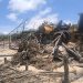 Operação da PF desmonta organizações criminosas que atuavam no Parque dos Lençóis