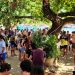 Angra dos Reis começa a cobrar taxa de visitantes a partir de 1º de junho